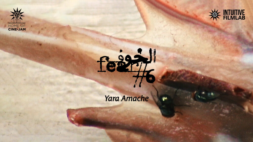 FEAR #6 Yara Amache, 5:08, 2023